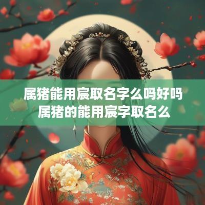 属猪能用宸取名字么吗好吗 属猪的能用宸字取名么 属猪能用宸取名字么吗好吗 属猪的能用宸字取名么