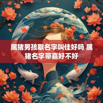 属猪男孩取名字叫佳好吗 属猪名字带嘉好不好