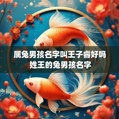 属兔男孩名字叫王子睿好吗 姓王的兔男孩名字