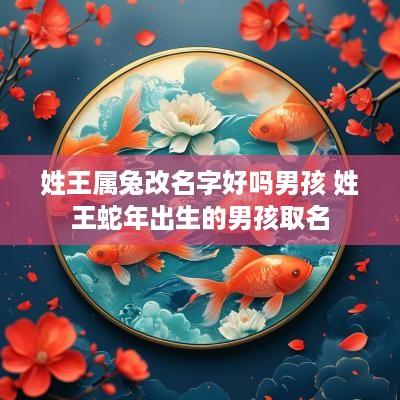 姓王属兔改名字好吗男孩 姓王蛇年出生的男孩取名