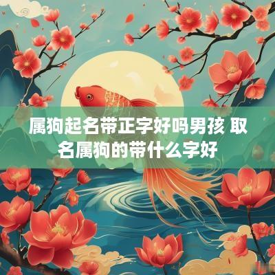 属狗起名带正字好吗男孩 取名属狗的带什么字好