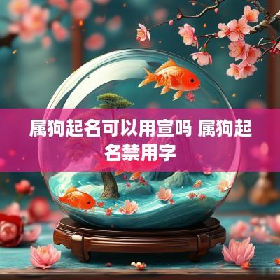属狗起名可以用宣吗 属狗起名禁用字