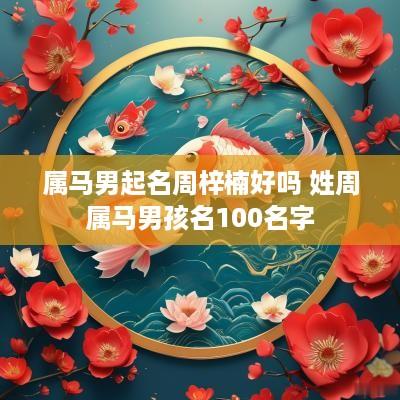 属马男起名周梓楠好吗 姓周属马男孩名100名字
