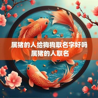 属猪的人给狗狗取名字好吗 属猪的人取名