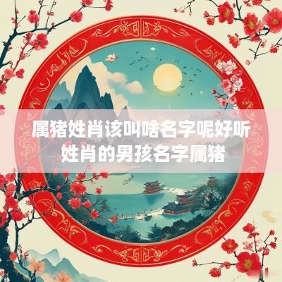 属猪姓肖该叫啥名字呢好听 姓肖的男孩名字属猪