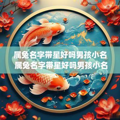 属兔名字带星好吗男孩小名 属兔名字带星好吗男孩小名怎么取