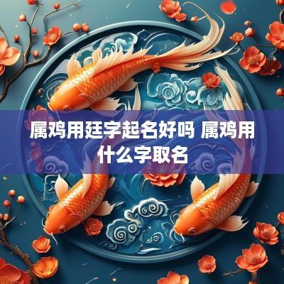 属鸡用廷字起名好吗 属鸡用什么字取名