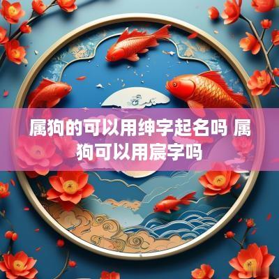 属狗的可以用绅字起名吗 属狗可以用宸字吗