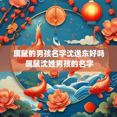 属鼠的男孩名字沈逸东好吗 属鼠沈姓男孩的名字