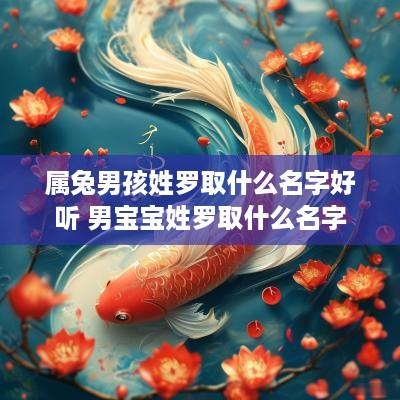 属兔男孩姓罗取什么名字好听 男宝宝姓罗取什么名字