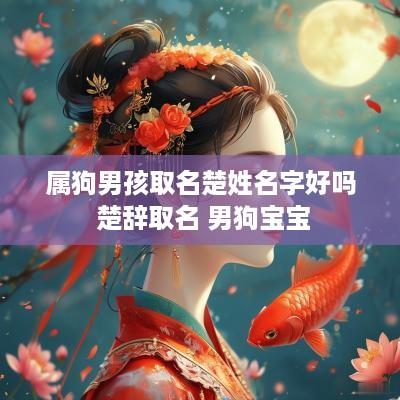 属狗男孩取名楚姓名字好吗 楚辞取名 男狗宝宝