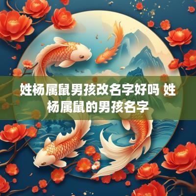 姓杨属鼠男孩改名字好吗 姓杨属鼠的男孩名字