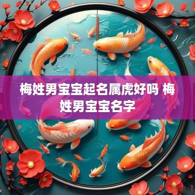 梅姓男宝宝起名属虎好吗 梅姓男宝宝名字