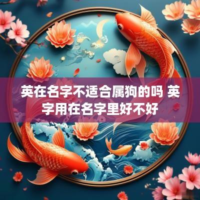 英在名字不适合属狗的吗 英字用在名字里好不好