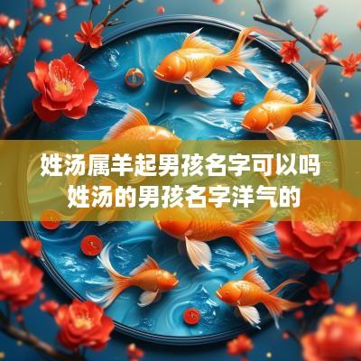 姓汤属羊起男孩名字可以吗 姓汤的男孩名字洋气的