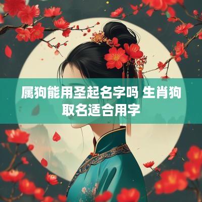 属狗能用圣起名字吗 生肖狗取名适合用字