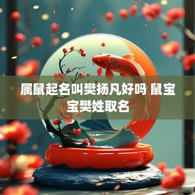 属鼠起名叫樊扬凡好吗 鼠宝宝樊姓取名