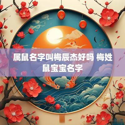 属鼠名字叫梅辰杰好吗 梅姓鼠宝宝名字