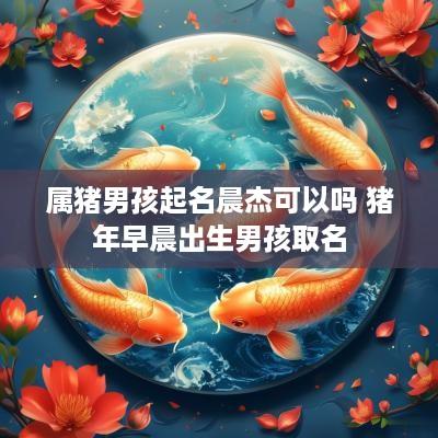 属猪男孩起名晨杰可以吗 猪年早晨出生男孩取名