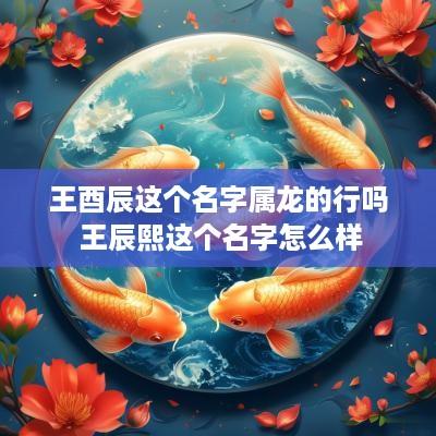 王酉辰这个名字属龙的行吗 王辰熙这个名字怎么样