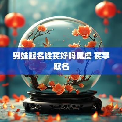 男娃起名姓苌好吗属虎 苌字取名