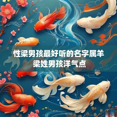 性梁男孩最好听的名字属羊 梁姓男孩洋气点