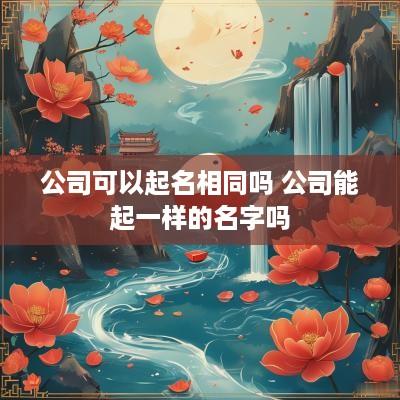 公司可以起名相同吗 公司能起一样的名字吗