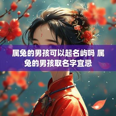 属兔的男孩可以起名屿吗 属兔的男孩取名字宜忌