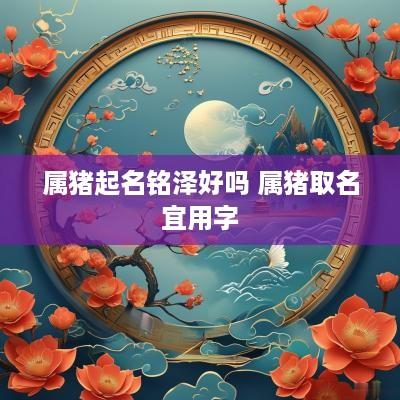 属猪起名铭泽好吗 属猪取名宜用字