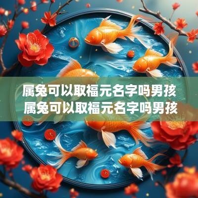 属兔可以取福元名字吗男孩 属兔可以取福元名字吗男孩子