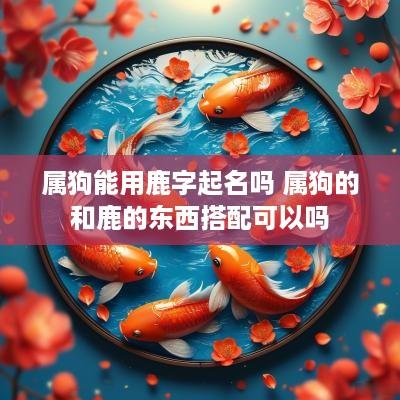 属狗能用鹿字起名吗 属狗的和鹿的东西搭配可以吗