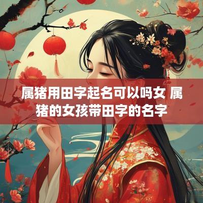 属猪用田字起名可以吗女 属猪的女孩带田字的名字