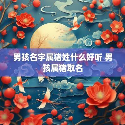 男孩名字属猪姓什么好听 男孩属猪取名