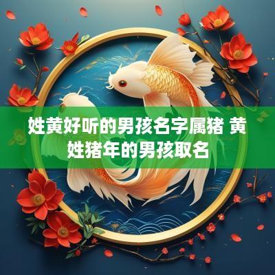姓黄好听的男孩名字属猪 黄姓猪年的男孩取名