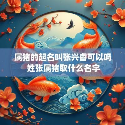 属猪的起名叫张兴睿可以吗 姓张属猪取什么名字