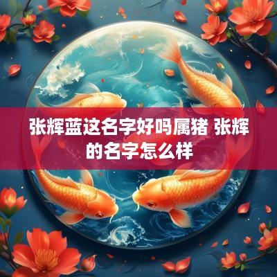 张辉蓝这名字好吗属猪 张辉的名字怎么样