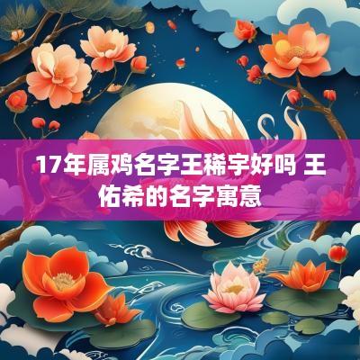 17年属鸡名字王稀宇好吗 王佑希的名字寓意