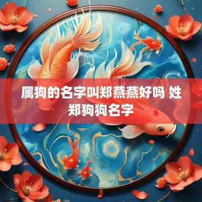 属狗的名字叫郑燕燕好吗 姓郑狗狗名字