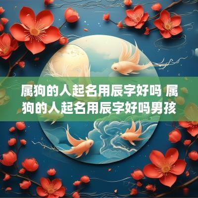 属狗的人起名用辰字好吗 属狗的人起名用辰字好吗男孩