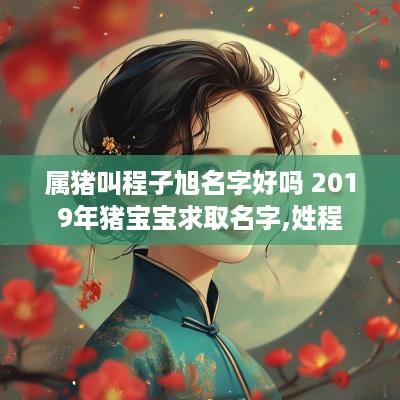 属猪叫程子旭名字好吗 2019年猪宝宝求取名字,姓程