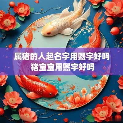 属猪的人起名字用熙字好吗 猪宝宝用熙字好吗