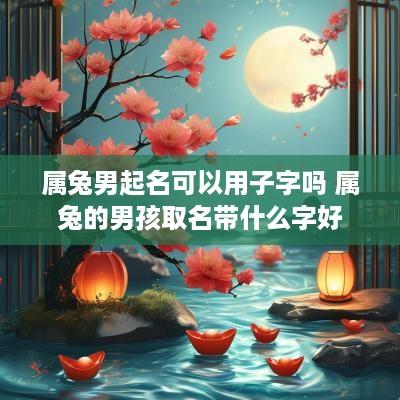 属兔男起名可以用子字吗 属兔的男孩取名带什么字好