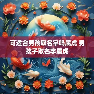 可适合男孩取名字吗属虎 男孩子取名字属虎