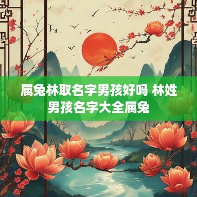 属兔林取名字男孩好吗 林姓男孩名字大全属兔
