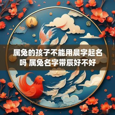 属兔的孩子不能用晨字起名吗 属兔名字带辰好不好
