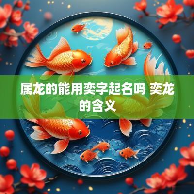 属龙的能用奕字起名吗 奕龙的含义
