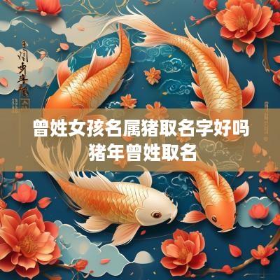 曾姓女孩名属猪取名字好吗 猪年曾姓取名