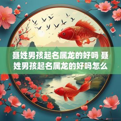 聂姓男孩起名属龙的好吗 聂姓男孩起名属龙的好吗怎么起