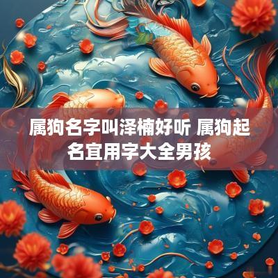 属狗名字叫泽楠好听 属狗起名宜用字大全男孩