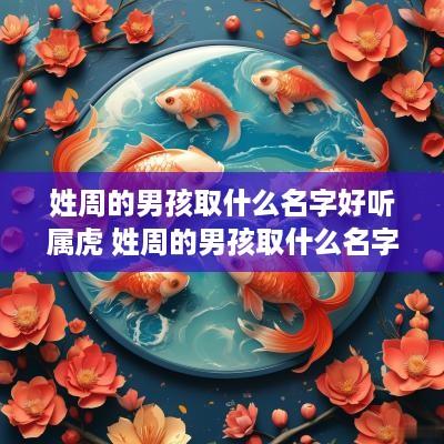 姓周的男孩取什么名字好听属虎 姓周的男孩取什么名字好听属虎的